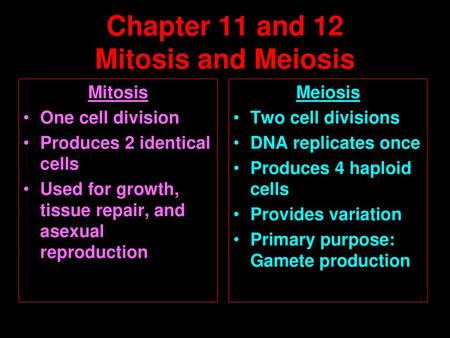 Chapter 11 and 12 Mitosis and Meiosis