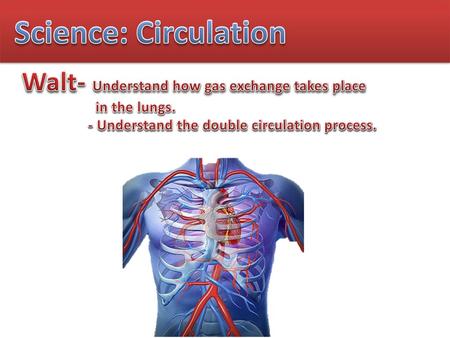 Science: Circulation Walt- Understand how gas exchange takes place