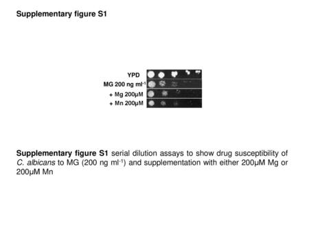 Supplementary figure S1