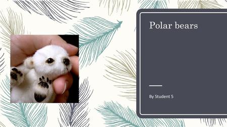 Polar bears By Student 5.