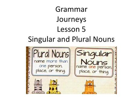 Grammar Journeys Lesson 5 Singular and Plural Nouns