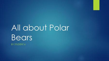 All about Polar Bears By Student 6.