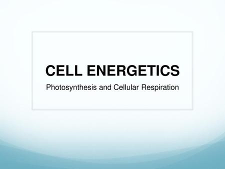 Photosynthesis and Cellular Respiration