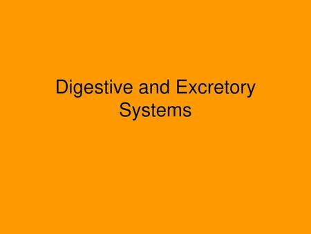 Digestive and Excretory Systems