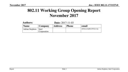 Working Group Opening Report November 2017