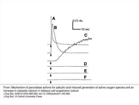 Fig. 1. SA-induced the generation of \batchmode \documentclass[fleqn,10pt,legalpaper]{article} \usepackage{amssymb} \usepackage{amsfonts} \usepackage{amsmath}