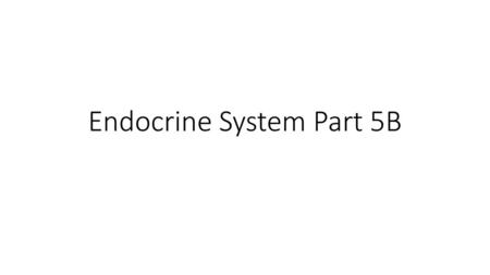 Endocrine System Part 5B