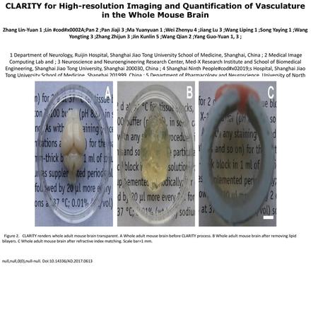 CLARITY for High-resolution Imaging and Quantification of Vasculature in the Whole Mouse Brain Zhang Lin-Yuan 1 ;Lin #cod#x0002A;Pan 2 ;Pan Jiaji 3 ;Ma.