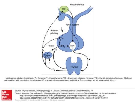 Hypothalamic-pituitary-thyroid axis