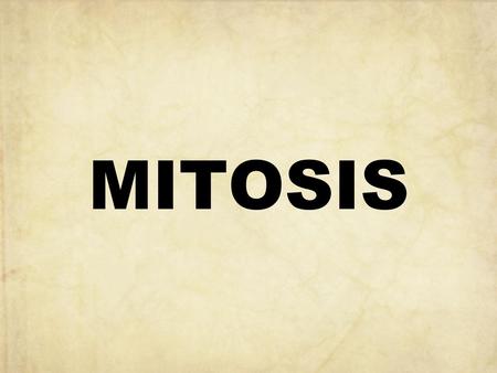 MITOSIS.