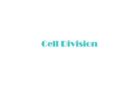 Cell Division.