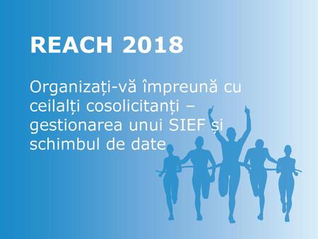 REACH 2018 Organizați-vă împreună cu ceilalți cosolicitanți –