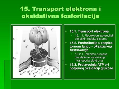 15. Transport elektrona i oksidativna fosforilacija