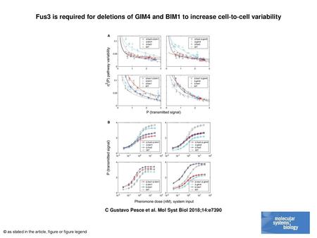 Fus3 is required for deletions of GIM4 and BIM1 to increase cell‐to‐cell variability Fus3 is required for deletions of GIM4 and BIM1 to increase cell‐to‐cell.