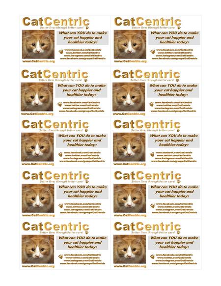 CatCentric CatCentric CatCentric CatCentric CatCentric CatCentric