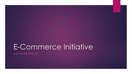 E-Commerce Initiative