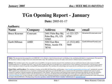 TGn Opening Report - January