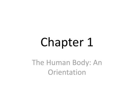 The Human Body: An Orientation