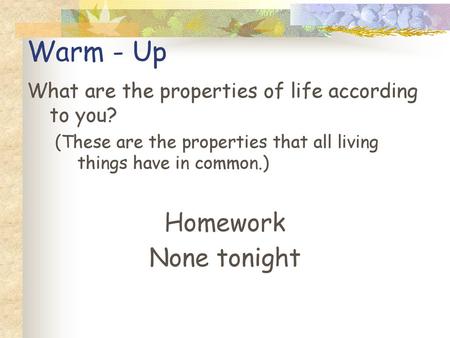 Warm - Up Homework None tonight