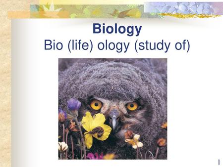 Biology Bio (life) ology (study of)