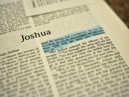 Joshua’s Character. Joshua’s Character Joshua’s Character Described as a faithful servant & fighter; able to take orders (Ex 17:9-16) Was a “choice.