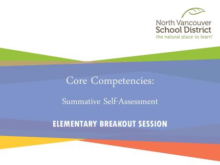 Core Competencies: Summative Self-Assessment