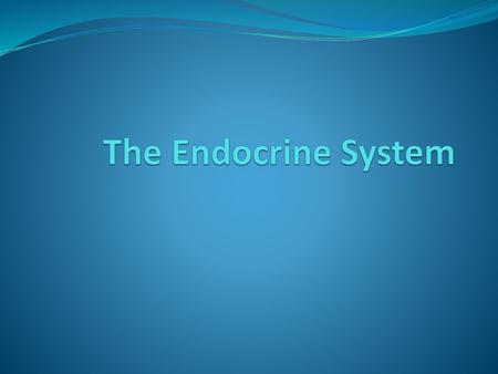 The Endocrine System.