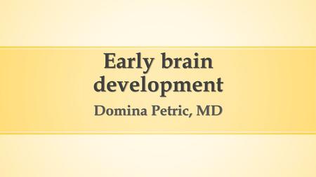 Early brain development