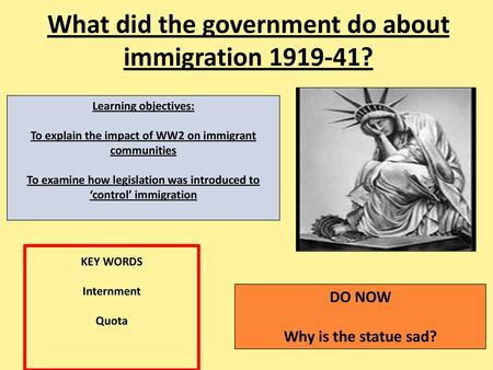 What did the government do about immigration ?