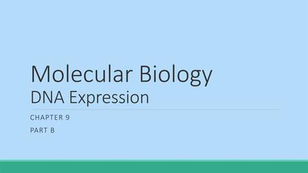 Molecular Biology DNA Expression