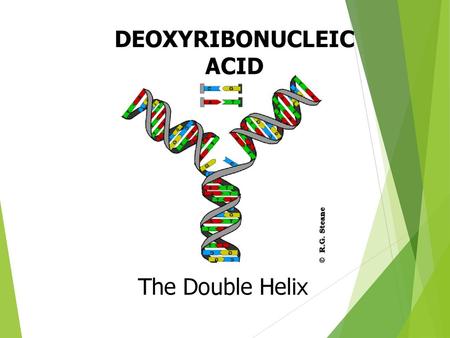 DEOXYRIBONUCLEIC ACID