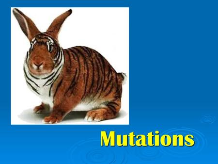 Mutations.