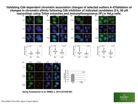 Validating Cdk‐dependent chromatin association changes of selected outliers A–EValidation of changes in chromatin affinity following Cdk inhibition of.