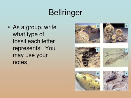 Bellringer As a group, write what type of fossil each letter represents. You may use your notes!