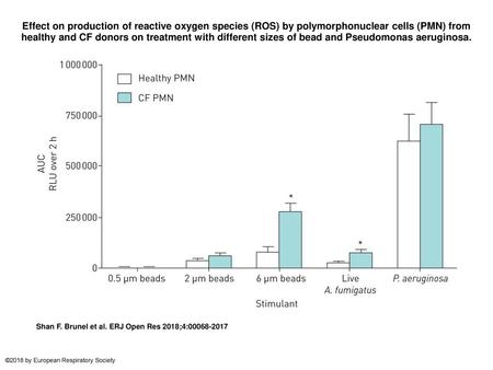 Effect on production of reactive oxygen species (ROS) by polymorphonuclear cells (PMN) from healthy and CF donors on treatment with different sizes of.