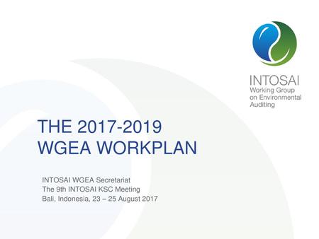 THE WGEA WORKPLAN INTOSAI WGEA Secretariat