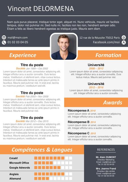 Vincent DELORMENA Experience Formation Awards Compétences & Langues