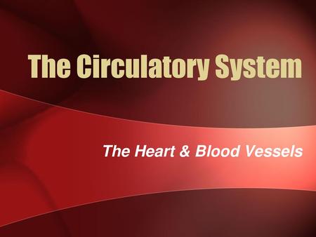 The Circulatory System