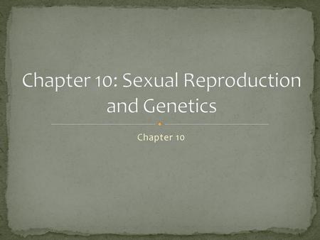 Chapter 10: Sexual Reproduction and Genetics