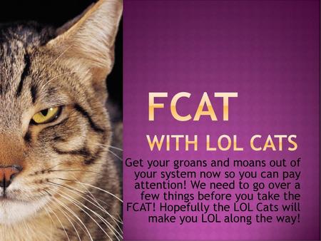 FCAT With LOL CATS Get your groans and moans out of your system now so you can pay attention! We need to go over a few things before you take the.