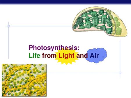 Photosynthesis: Life from Light and Air