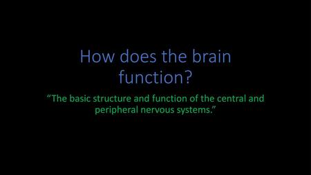 How does the brain function?