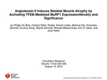 Angiotensin II Induces Skeletal Muscle Atrophy by Activating TFEB-Mediated MuRF1 ExpressionNovelty and Significance by Philipp Du Bois, Cristina Pablo.