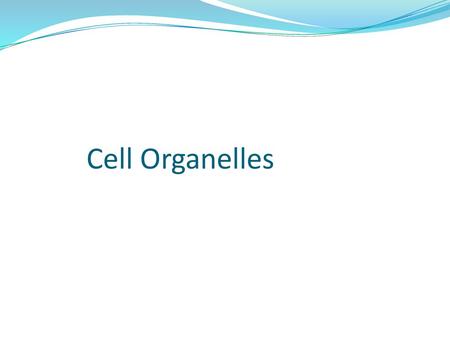 Cell Organelles.