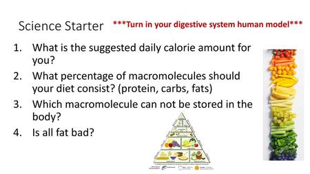 Science Starter What is the suggested daily calorie amount for you?