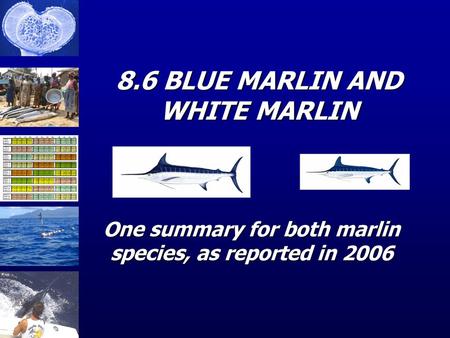 8.6 BLUE MARLIN AND WHITE MARLIN