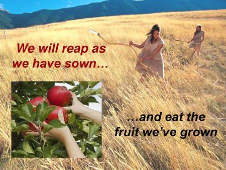 We will reap as we have sown…