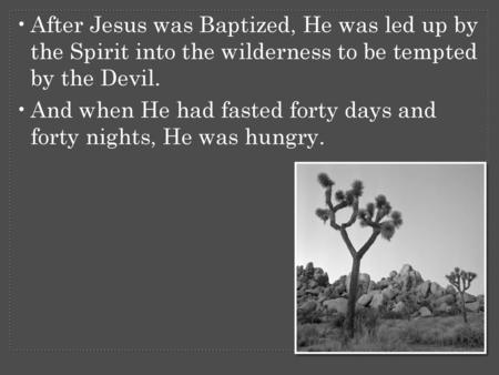 After Jesus was Baptized, He was led up by the Spirit into the wilderness to be tempted by the Devil. And when He had fasted forty days and forty nights,