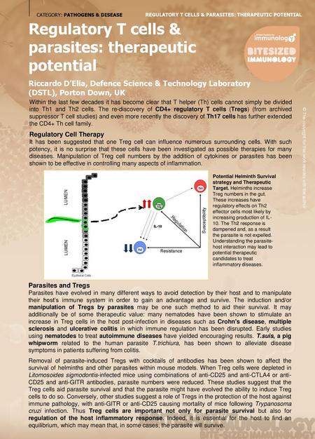 Regulatory T cells & parasites: therapeutic potential