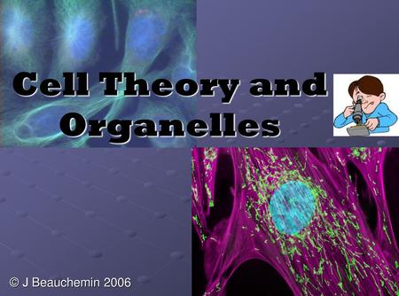 Cell Theory and Organelles